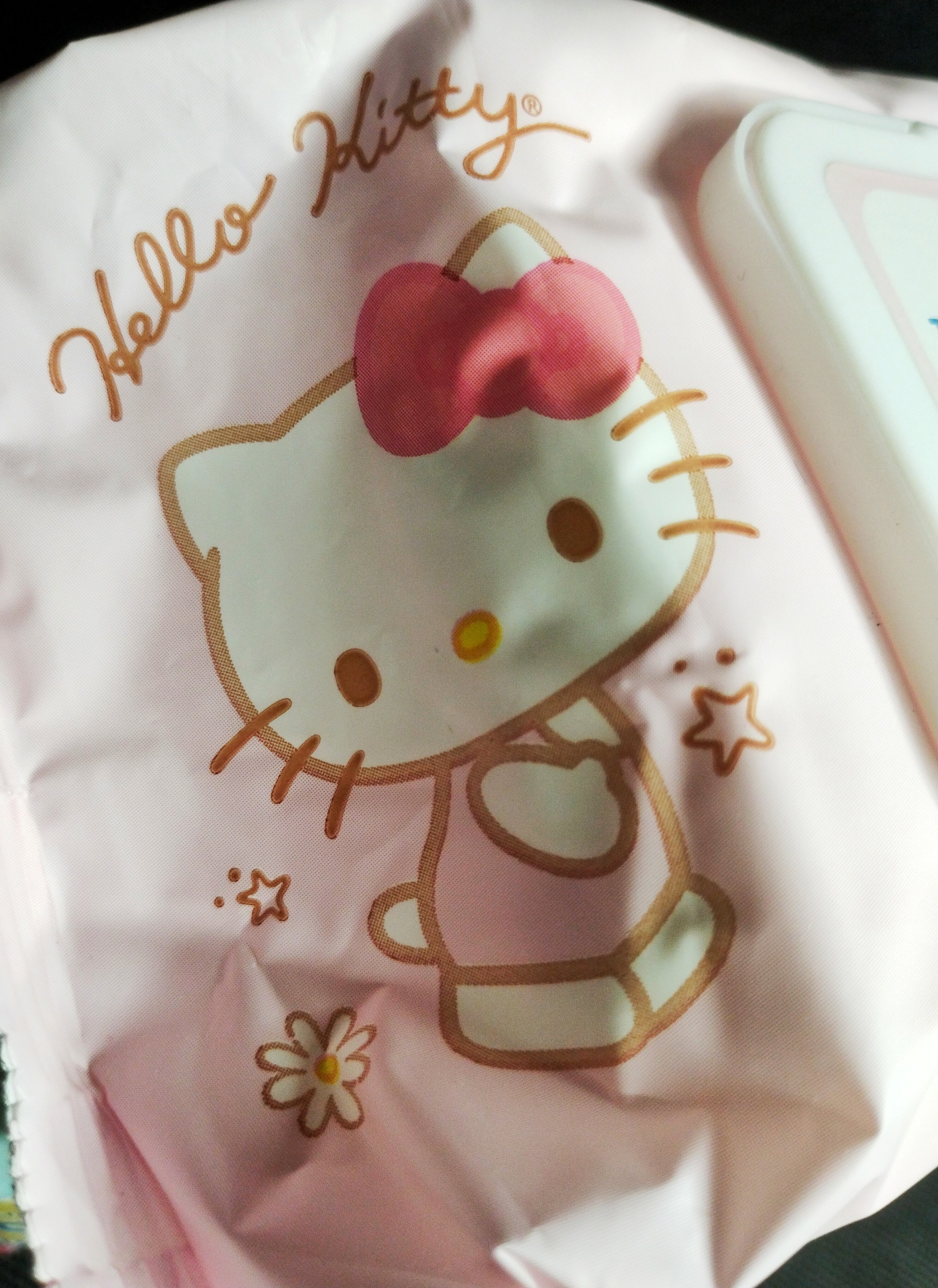 HELLO KITTY Toallitas húmedas